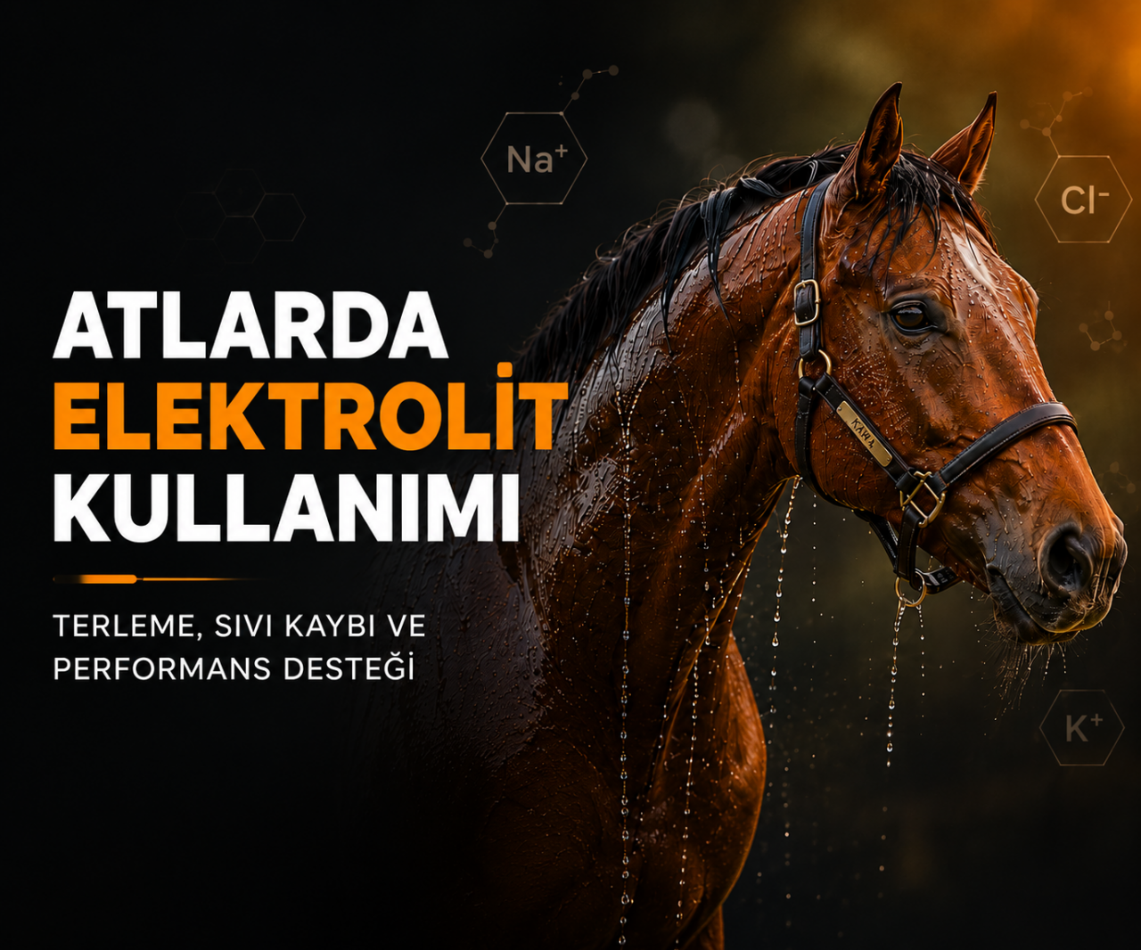 Atlarda Elektrolit Kullanımı: Bilinmesi Gerekenler