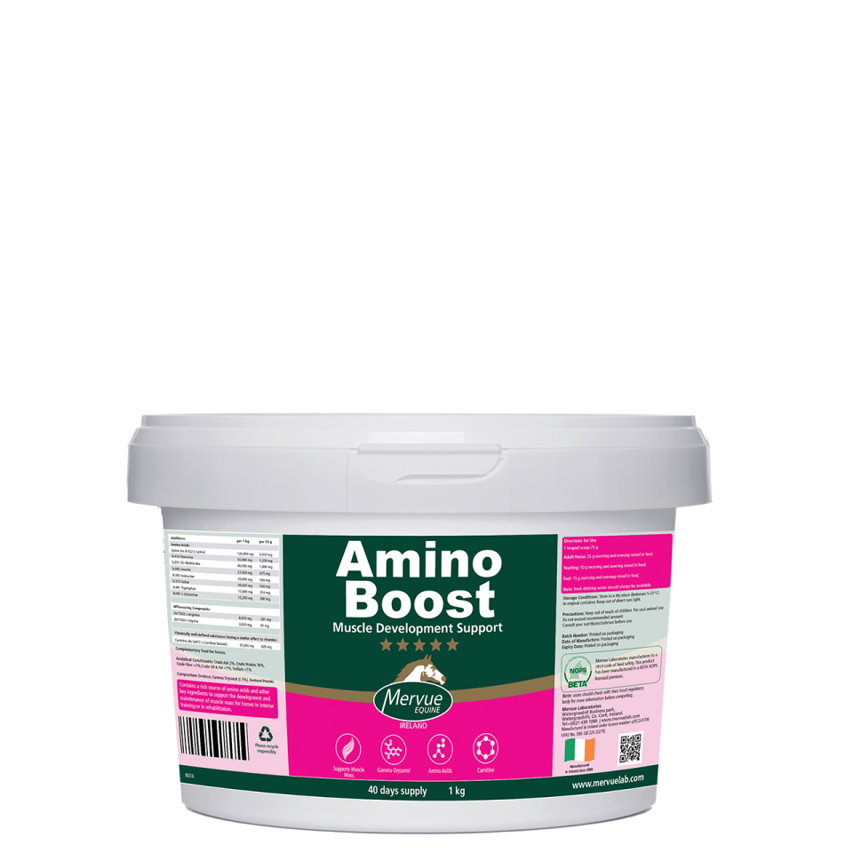 MERVUE AMİNOBOOST 1 KG