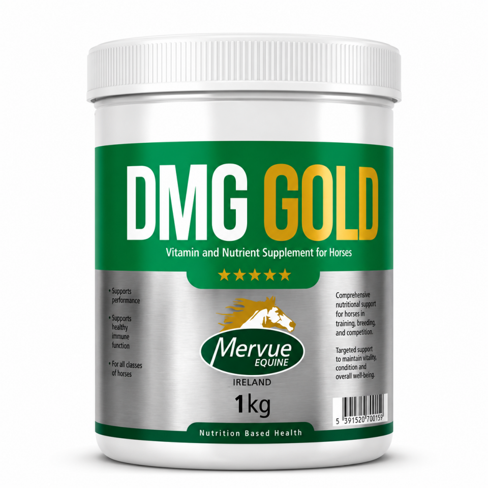MERVUE DMG GOLD 1KG