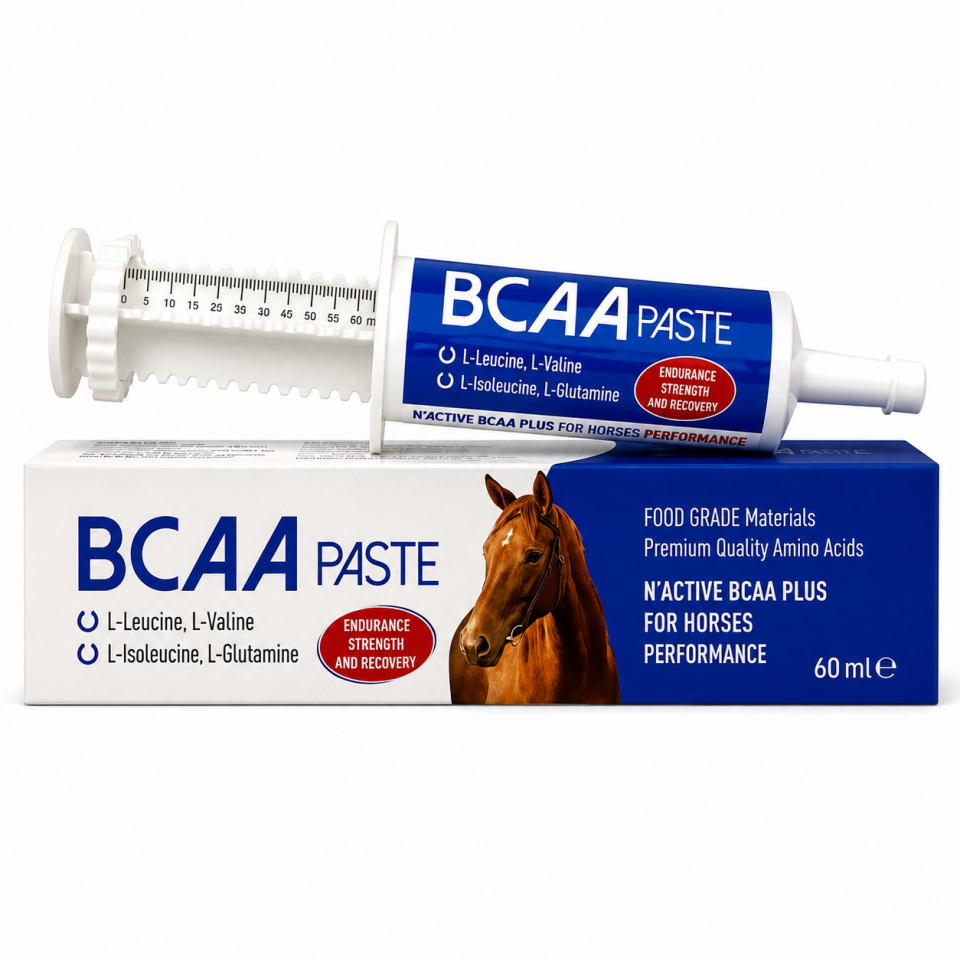 N ACTİVE BCAA PASTE 60 ML