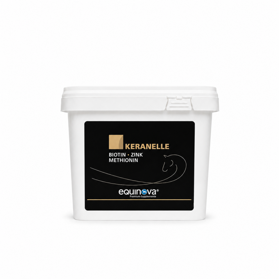 EQUINOVA KERANELLE