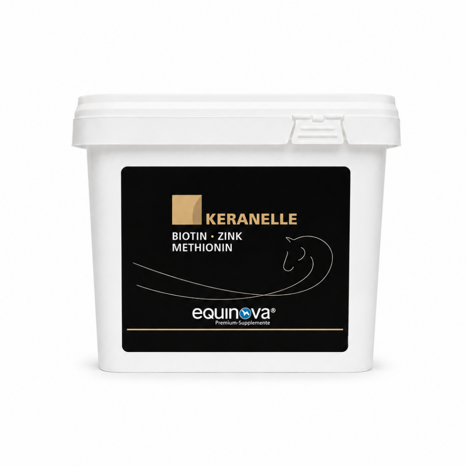 EQUINOVA KERANELLE