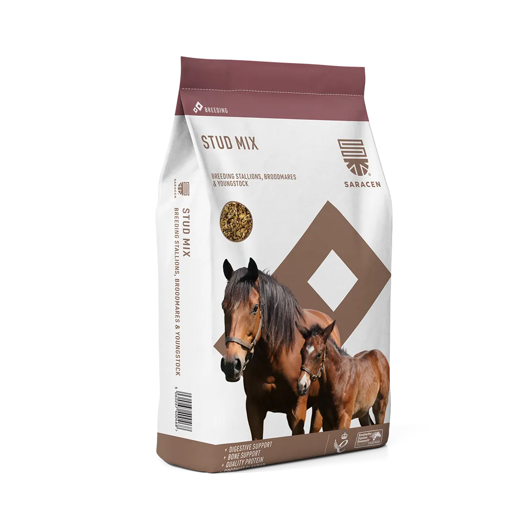 SARACEN STUD MİX AYGIR KISRAK TAY YEMİ 20 KG