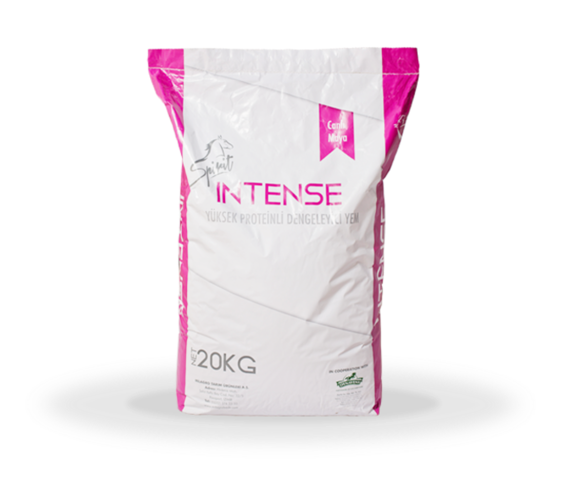 SPİRİT İNTENSE %30 PROTEİN YEMİ 20KG